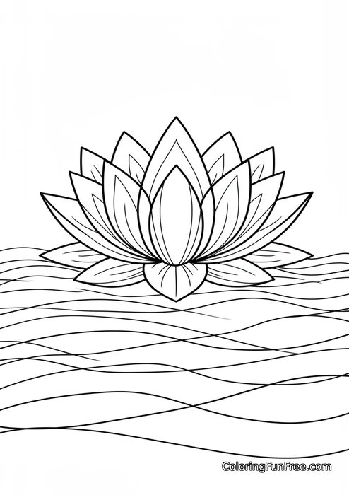 Lotus flower on water
