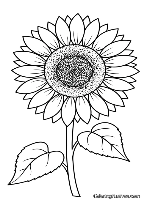 Tall sunflower with leaves