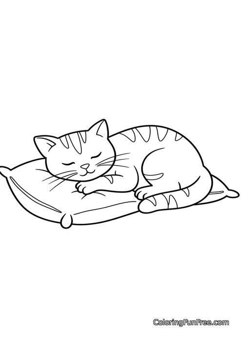 Cat sleeping on pillow