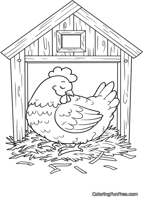 Hen sitting on nest in coop