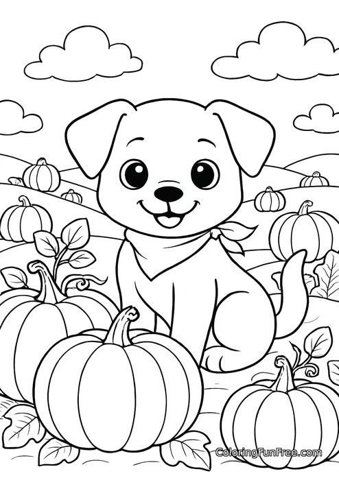 Puppy in pumpkin patch