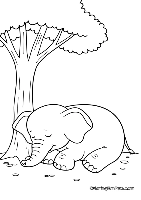 Elephant sleeping under tree