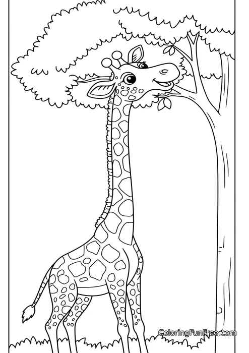 Giraffe eating leaves from tree