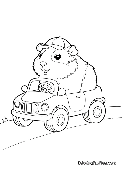Guinea pig driving car with cap