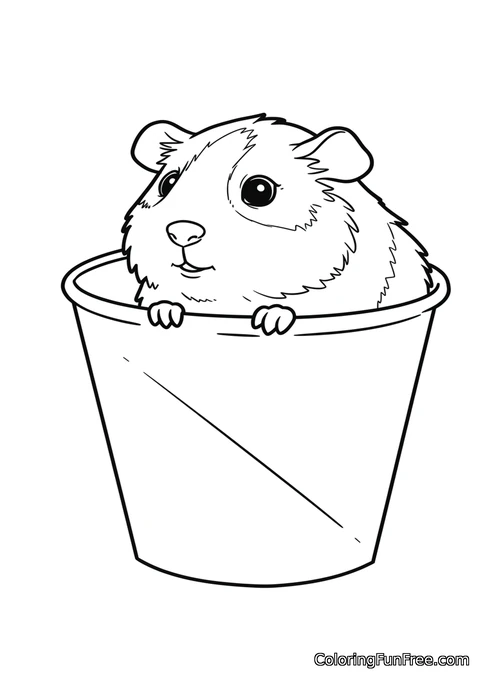 Guinea pig in bucket