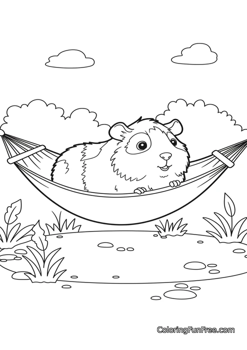 Guinea pig in hammock