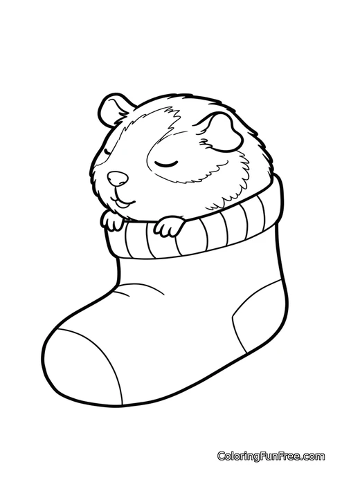 Guinea pig in sock