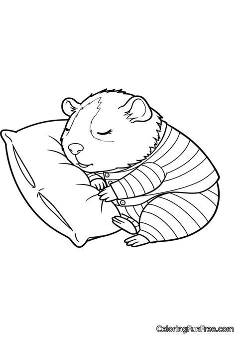 Guinea pig sleeping on pillow pajamas