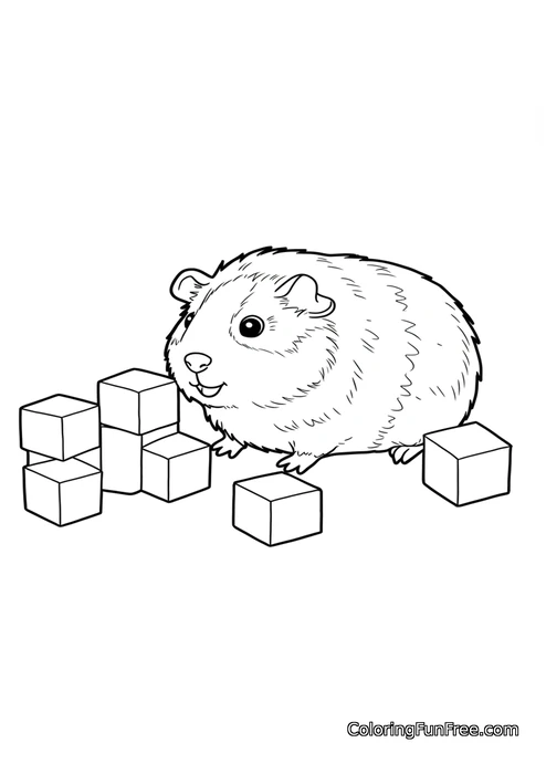 Guinea pig with blocks