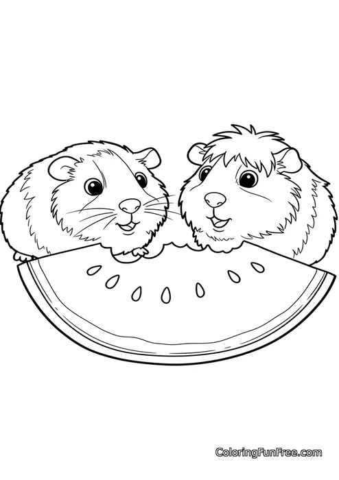 Two guinea pigs with watermelon