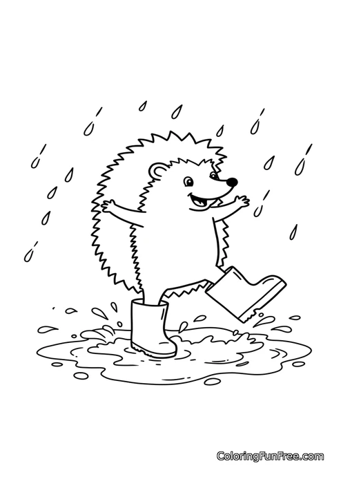 Hedgehog splashing in puddles rain boots
