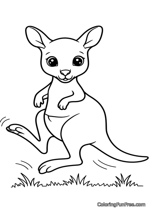 Baby kangaroo hopping