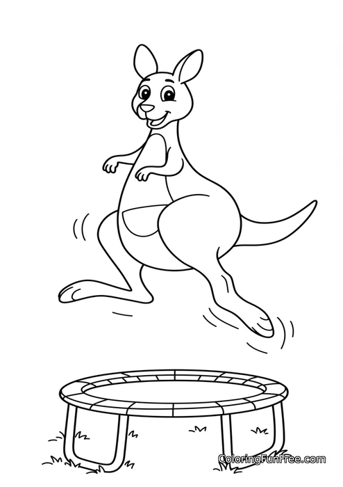 Kangaroo jumping on trampoline