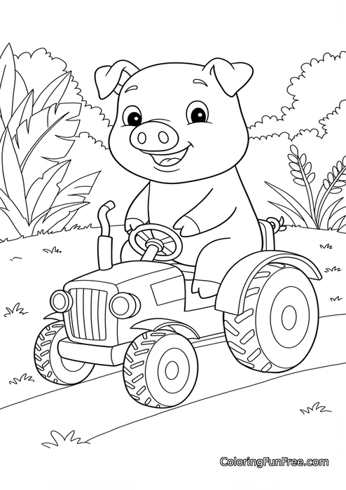 Pig driving tractor