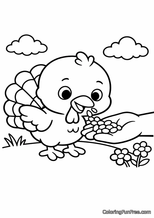 Baby turkey eating corn