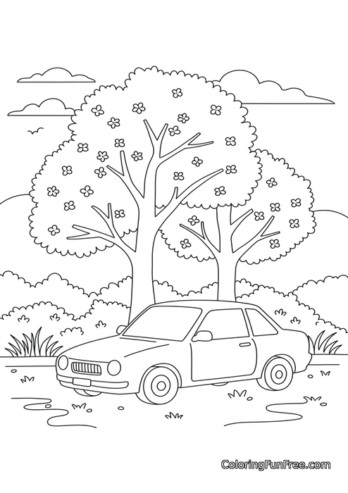 Car in a spring scene