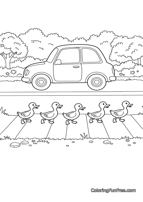 Car waiting for ducks to cross